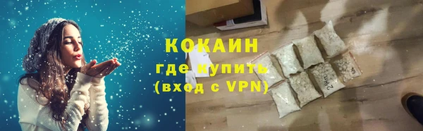 шишки Гусев