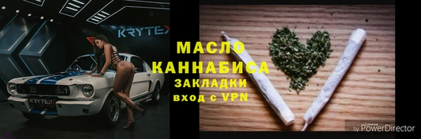 шишки Гусев