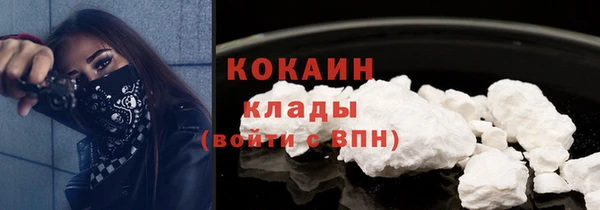 шишки Гусев