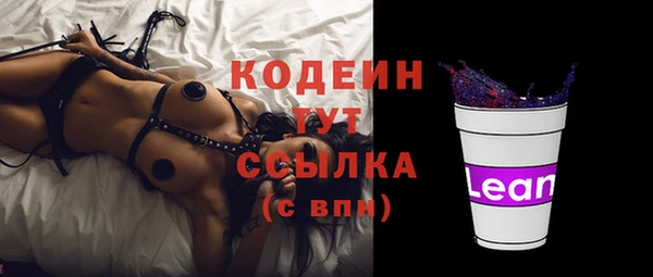 шишки Гусев