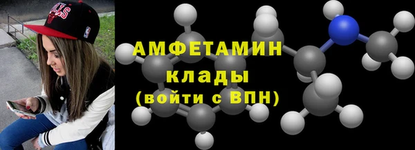 шишки Гусев
