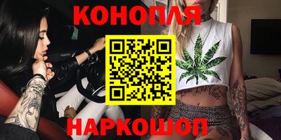 шишки Будённовск