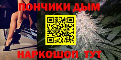 шишки Будённовск