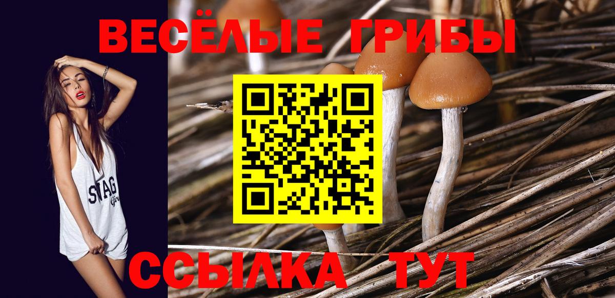 Добрянка  Псилоцибиновые грибы GOLDEN TEACHER  как найти закладки  Вход с VPN 