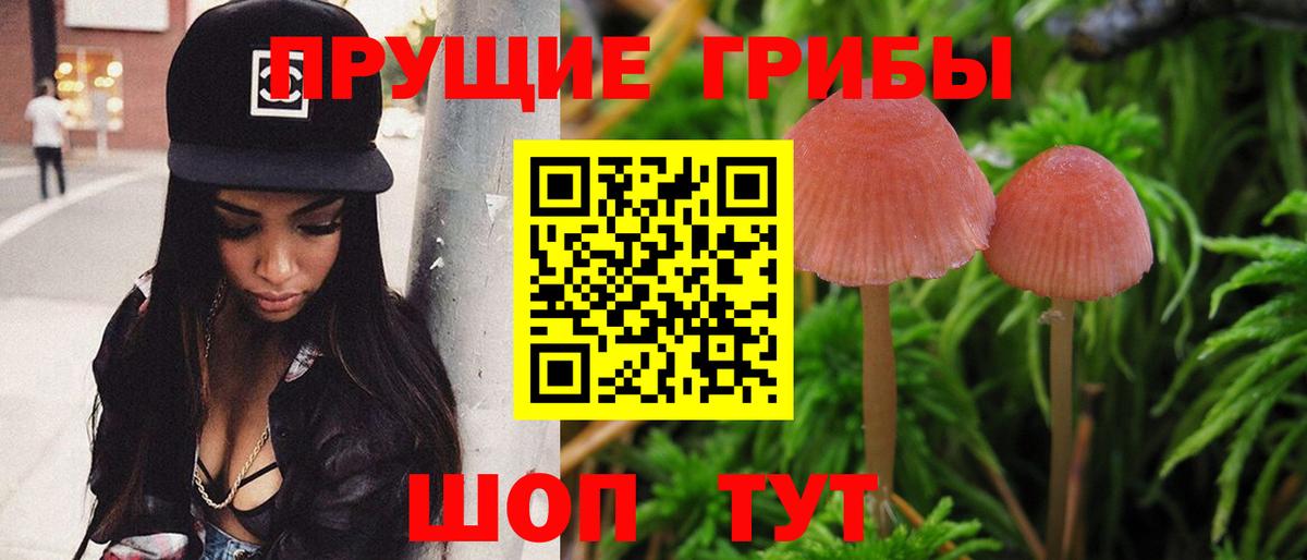 Галлюциногенные грибы Cubensis Добрянка