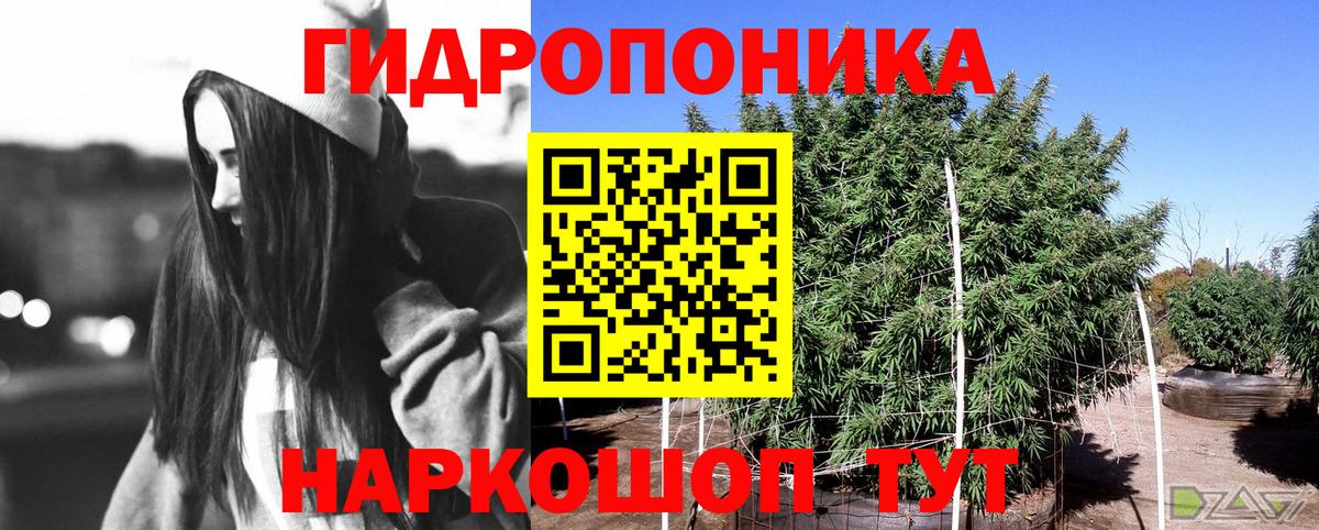 Канабис THC 21%  Канабис планчик  Шишки марихуана план  МАРИХУАНА сатива  Добрянка 